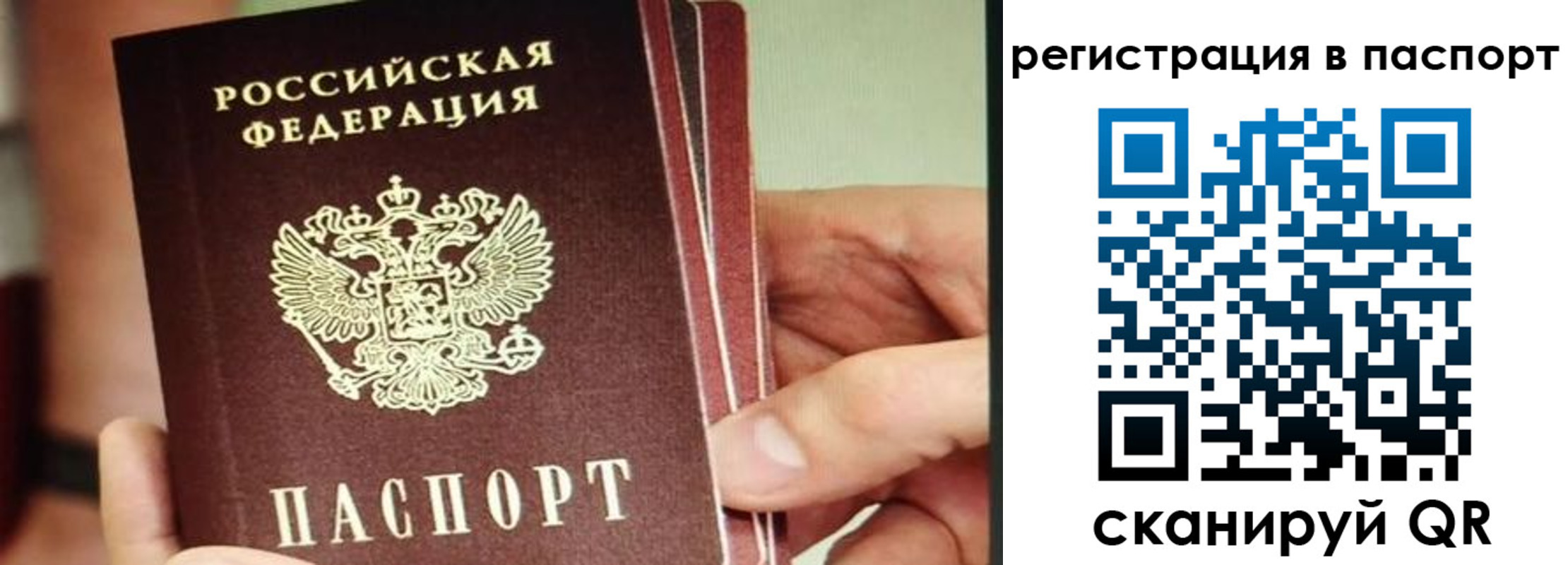 временная регистрация надежно в Сургуте